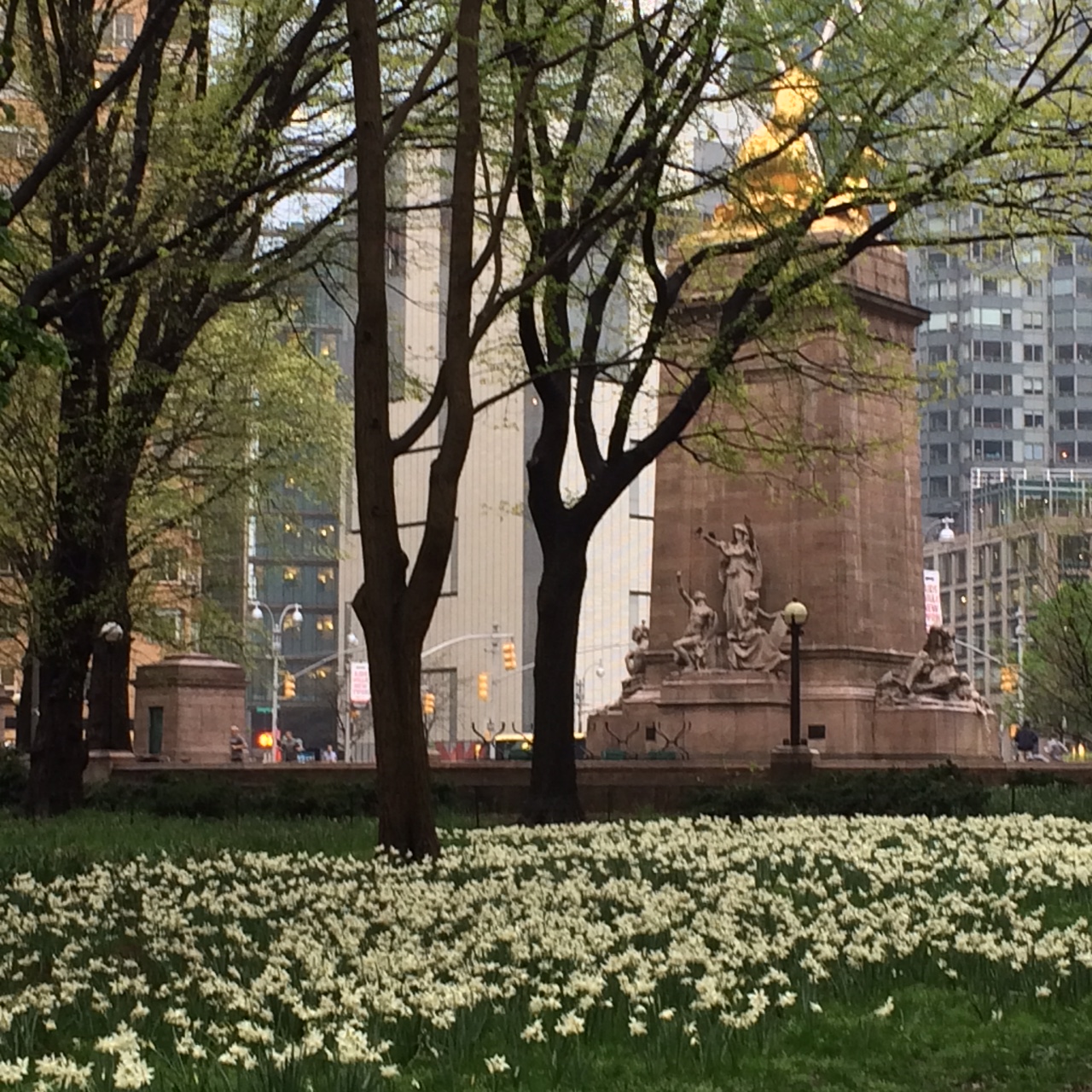 2 tulips Columbus Circle
