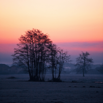 sunset fields 1943.png