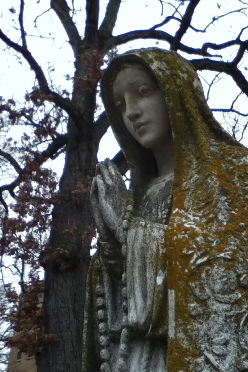 Madonna Alton orphanage