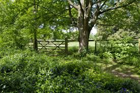 5 Kate's farm summer trees fence.jpg!d - Copy