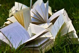 books and grass