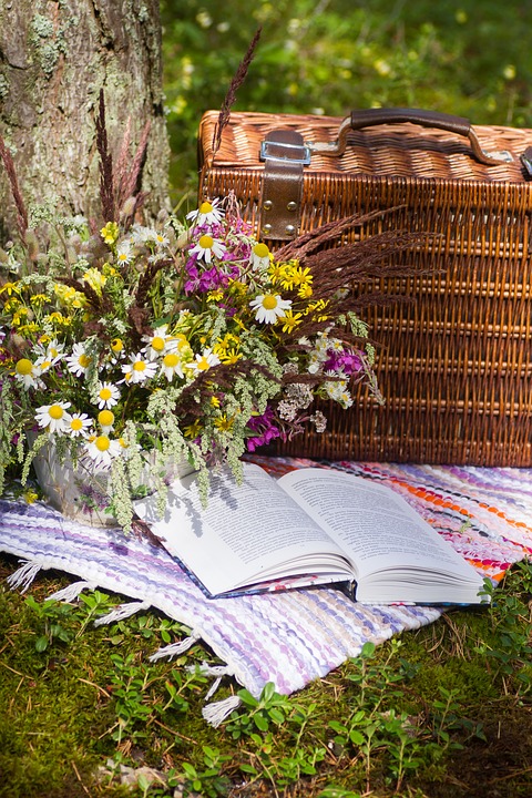 picnic basket and book