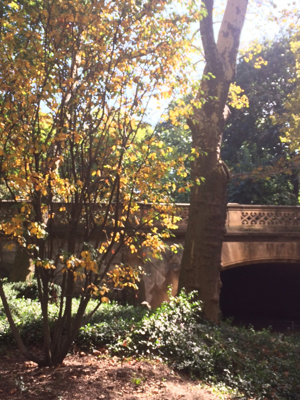 blog header September CP