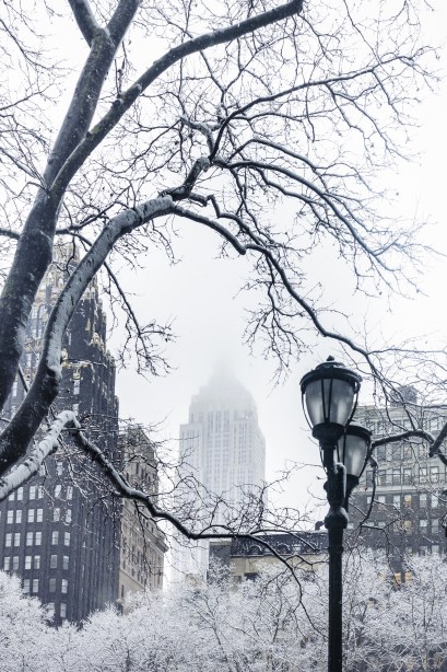 shutterstock_548493256