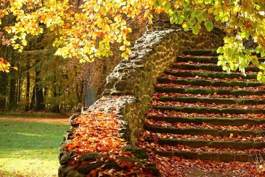 stone stairs
