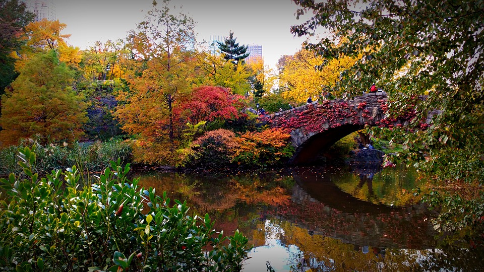 CP autumn bridge