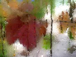 rainy leaves window