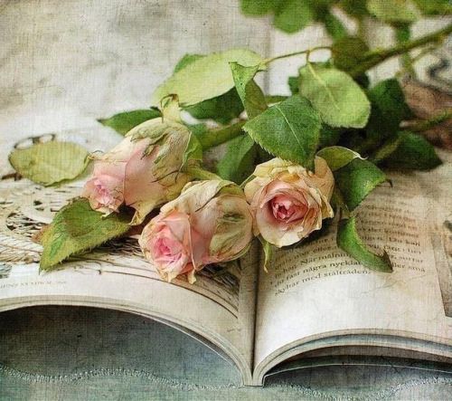 books and flowers 11