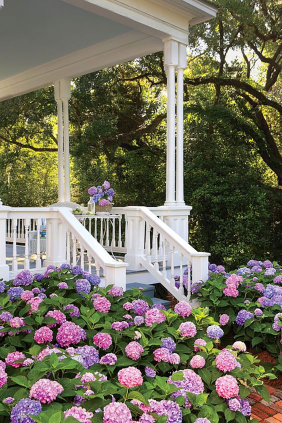 hydrangeas porch