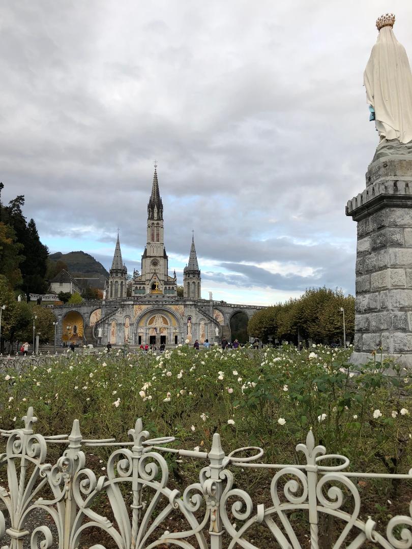 cathedral way flowers
