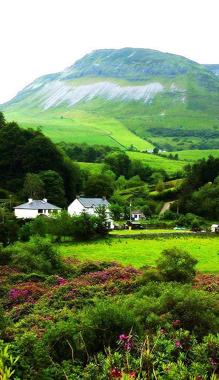 houses and green hills