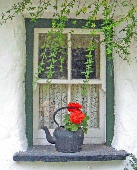 window kettle flowers