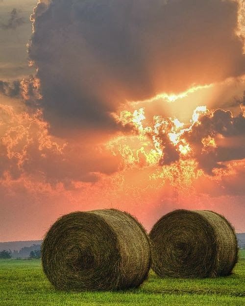 rolls of hay sunset
